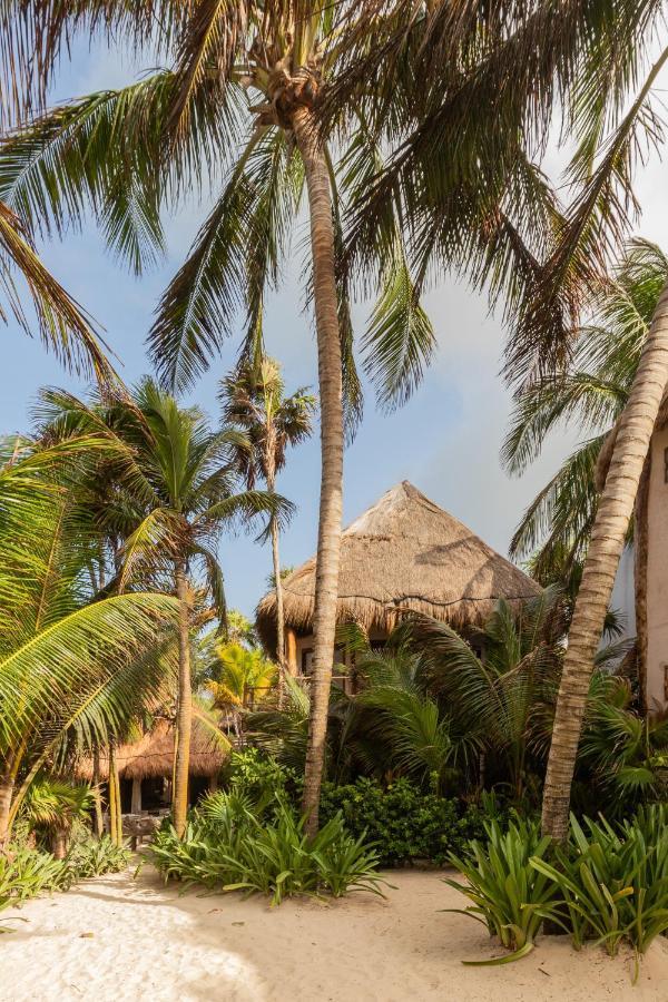Encantada Tulum Dış mekan fotoğraf