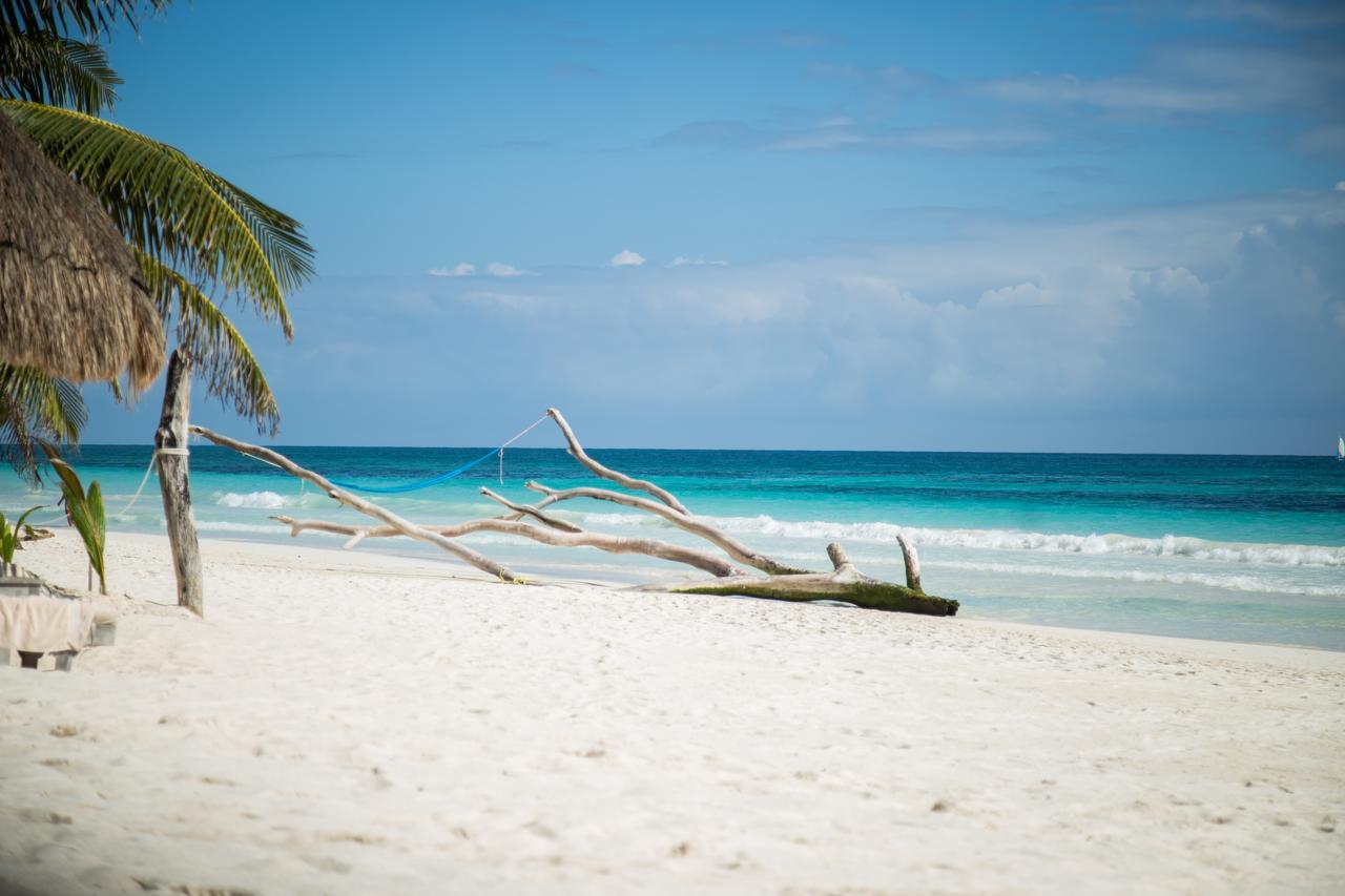 Encantada Tulum Dış mekan fotoğraf